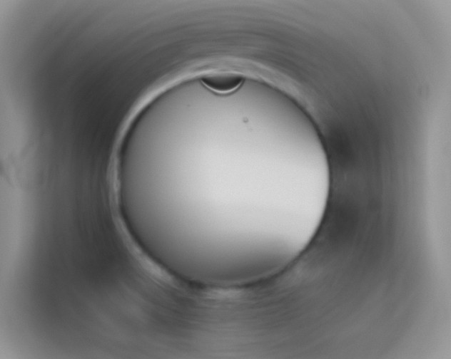 X0000114231522200910091438