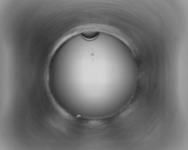 X0000114231523200910091438