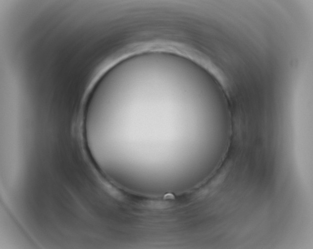 X0000114231525200910091438