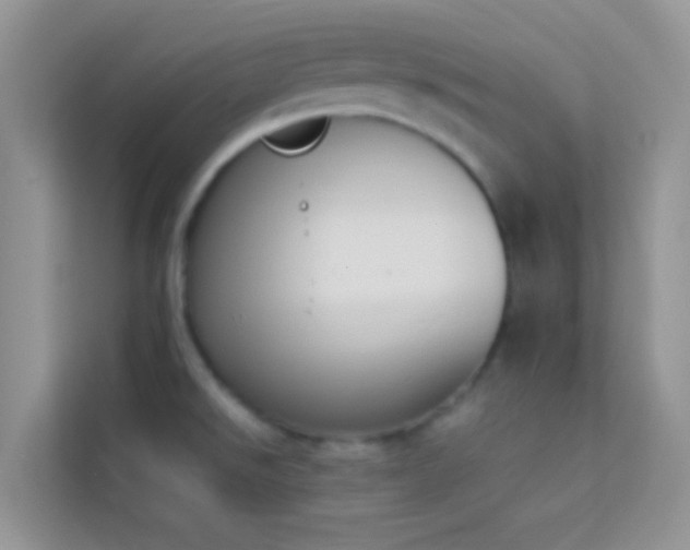 X0000114231526200910091438