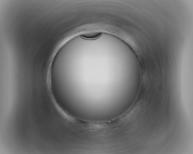 X0000114231528200910091438