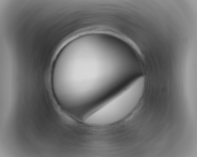 X0000114231530200910091438