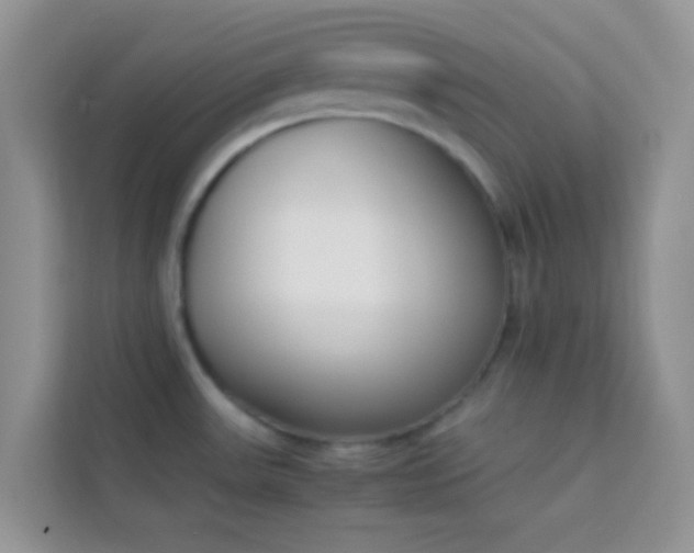 X0000114231531200910091438