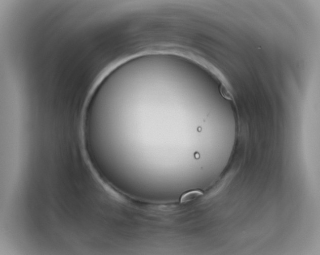 X0000114231533200910091438