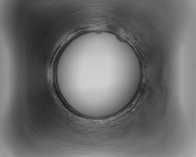 X0000114230002200910161621