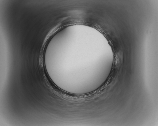 X0000114230004200910161621
