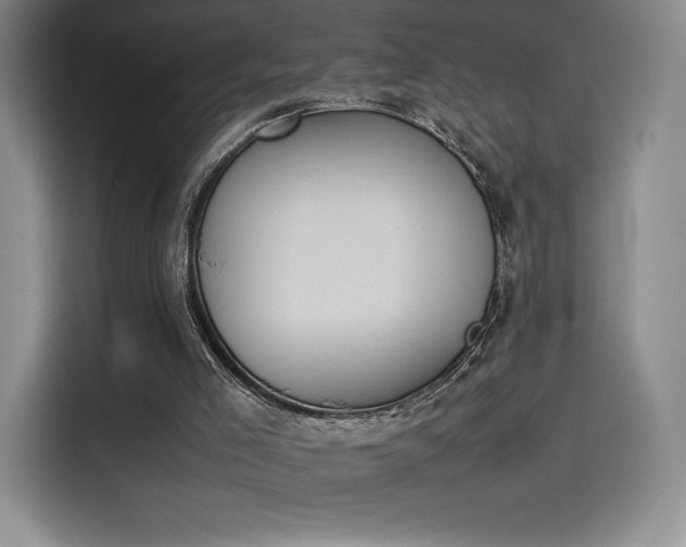 X0000114230005200910161621