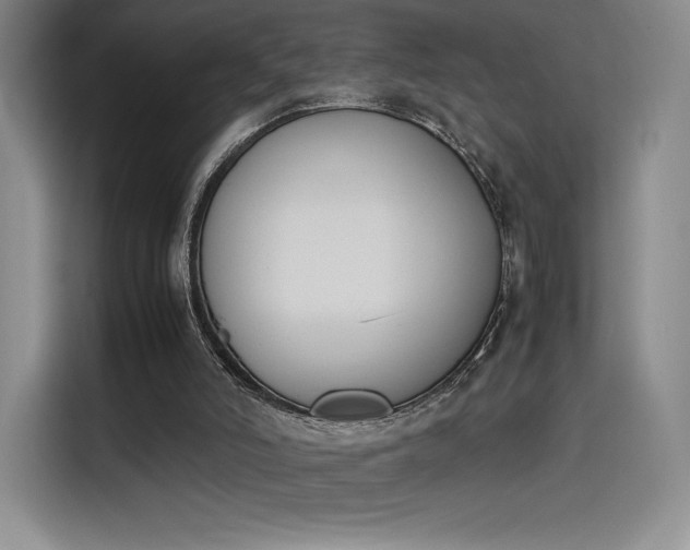 X0000114230006200910161621
