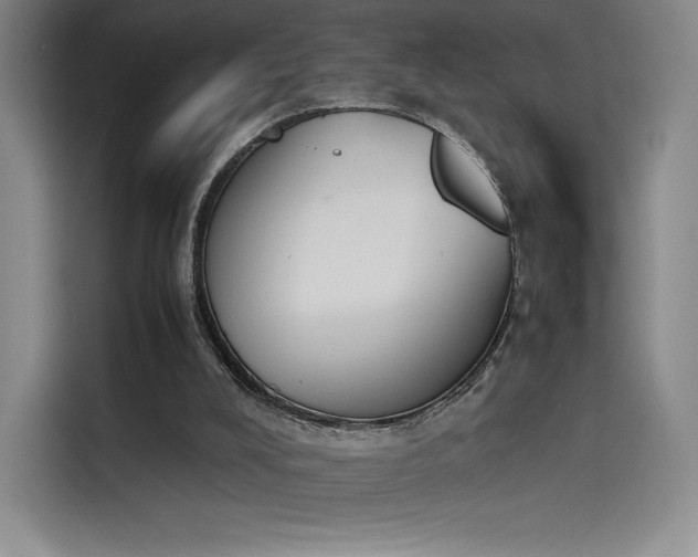 X0000114230008200910161621