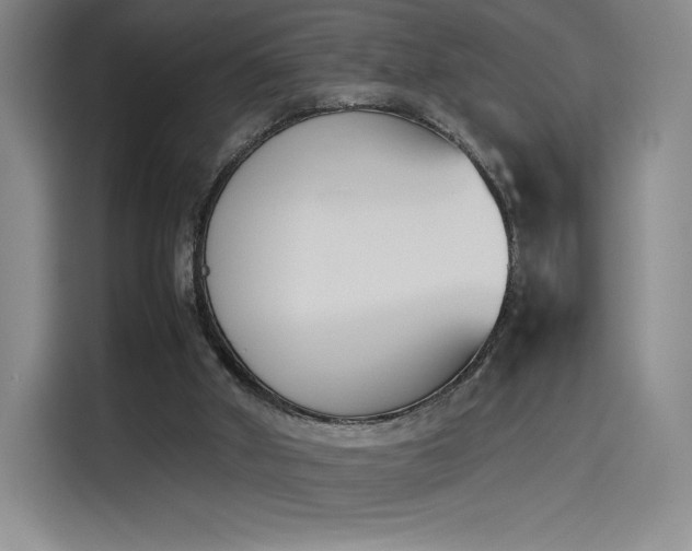 X0000114230010200910161621