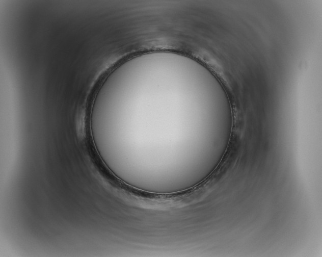 X0000114230012200910161621