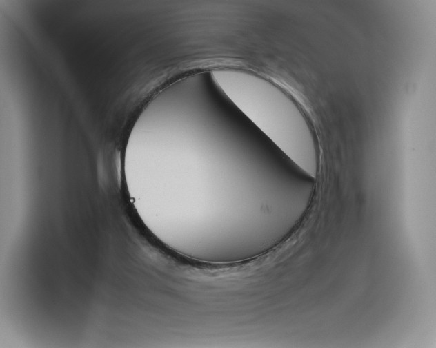 X0000114230013200910161621