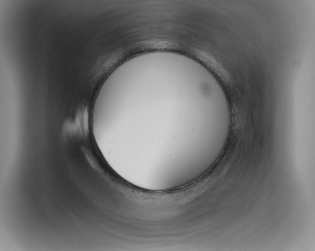 X0000114230014200910161621