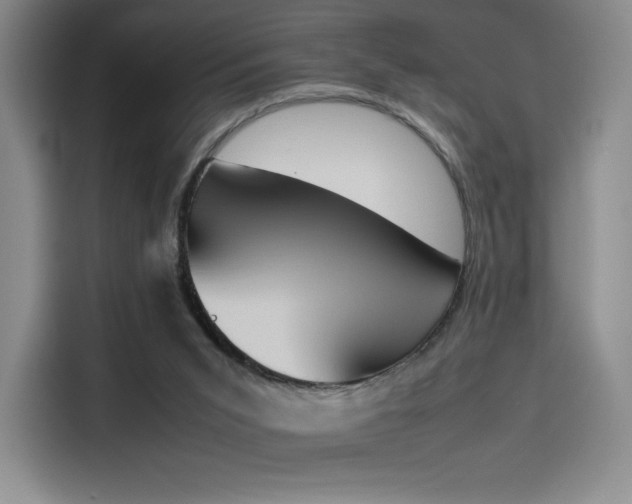 X0000114230015200910161621