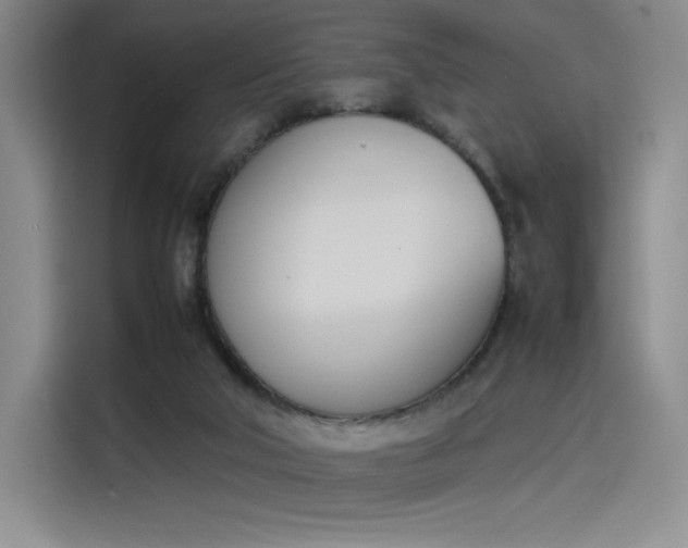X0000114230018200910161621