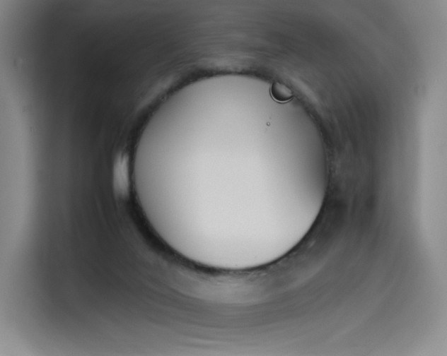 X0000114230020200910161621