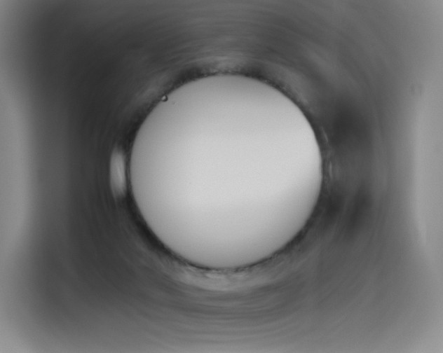X0000114230022200910161621