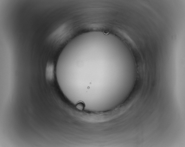 X0000114230024200910161621
