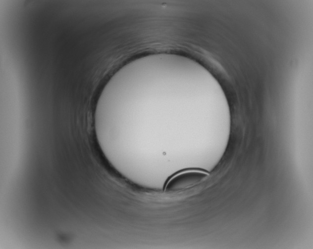 X0000114230025200910161621