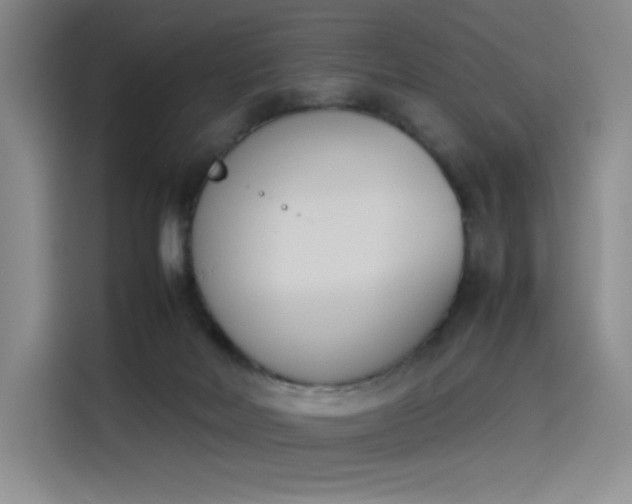 X0000114230026200910161621