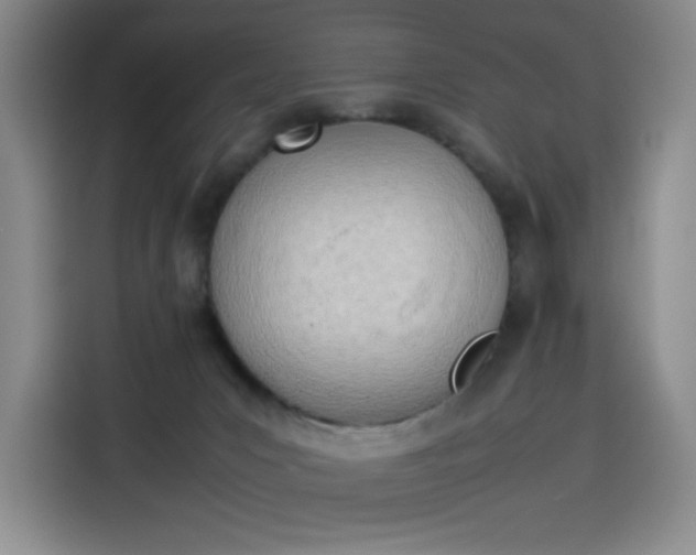 X0000114230031200910161621