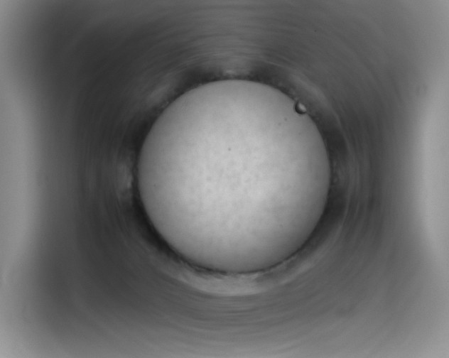 X0000114230032200910161621