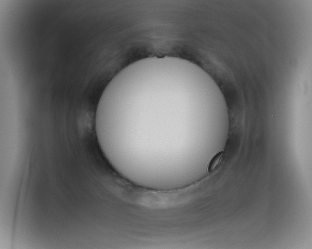 X0000114230033200910161621