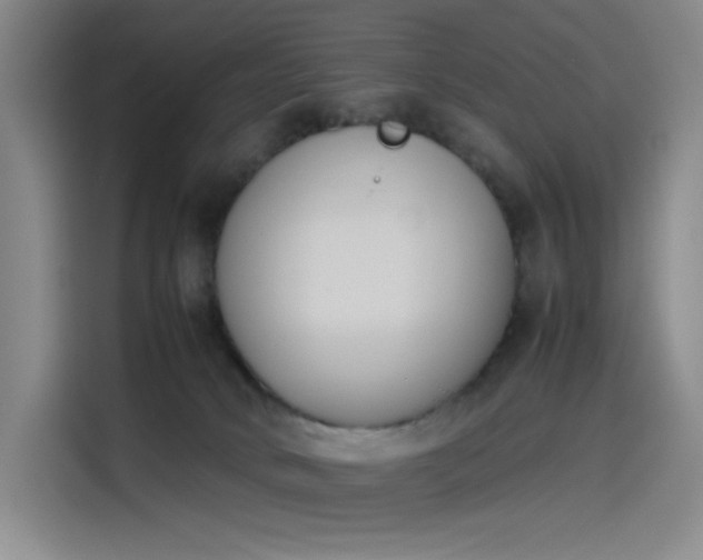 X0000114230034200910161621