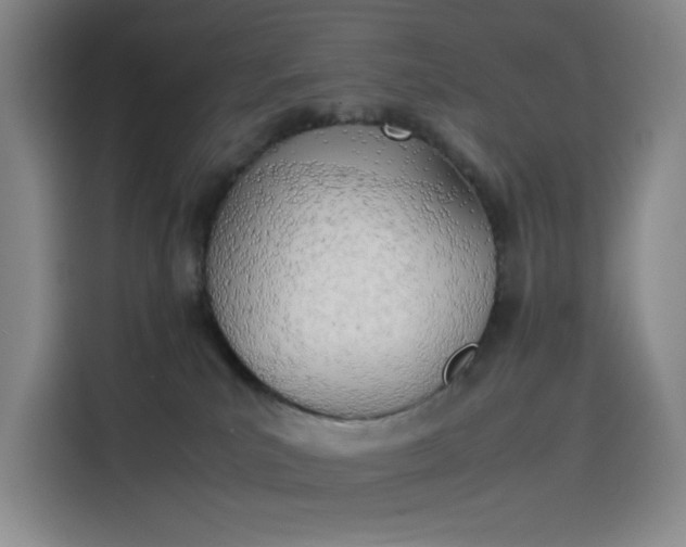 X0000114230039200910161621