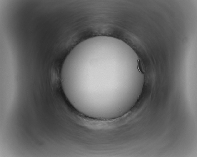 X0000114230040200910161621