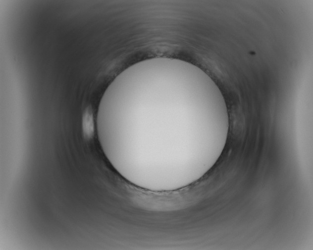 X0000114230042200910161621