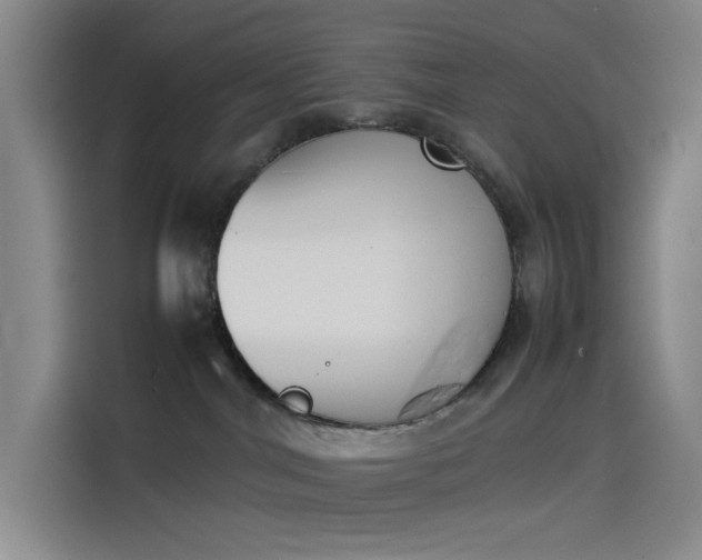 X0000114230044200910161621
