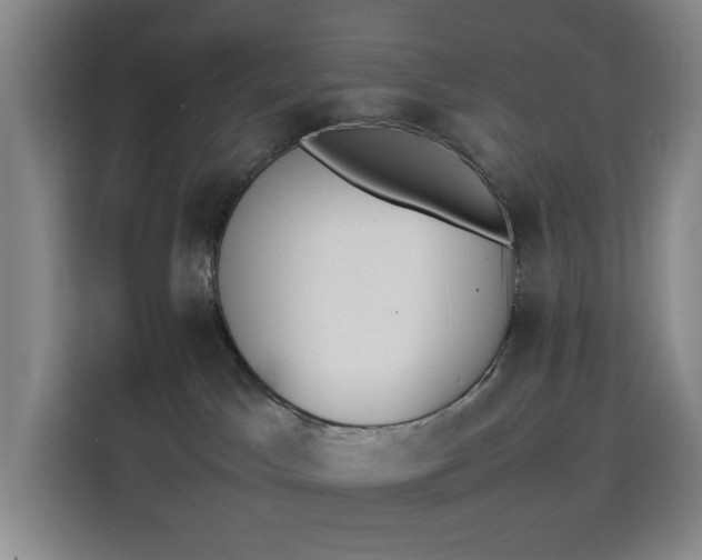 X0000114230045200910161621