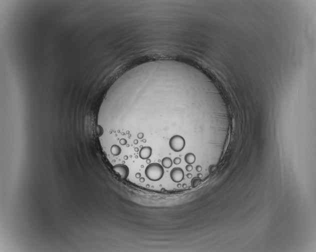 X0000114230048200910161621