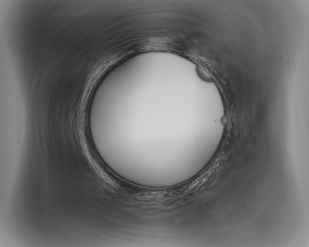 X0000114230049200910161620