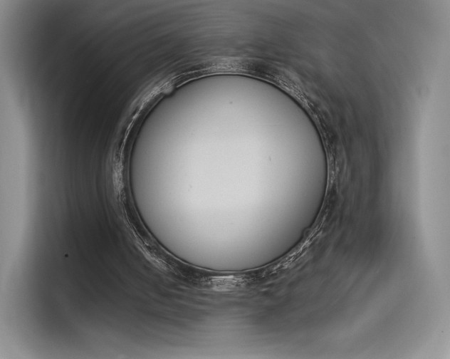 X0000114230050200910161620