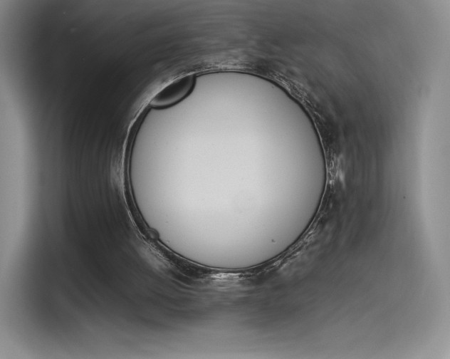 X0000114230052200910161620