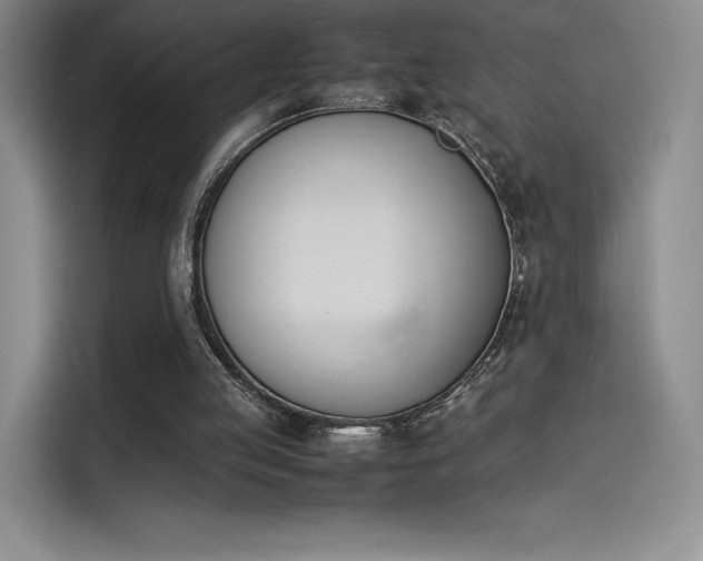 X0000114230053200910161620