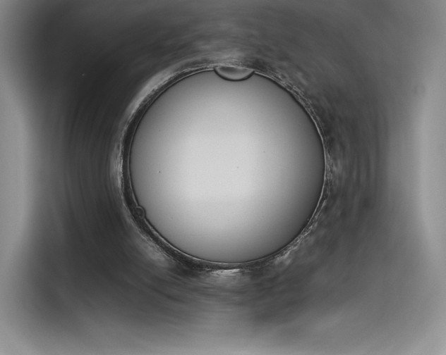 X0000114230054200910161620