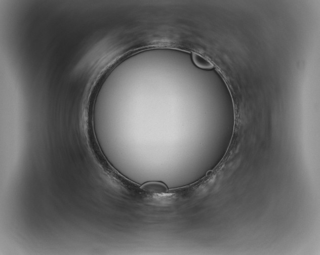 X0000114230055200910161620
