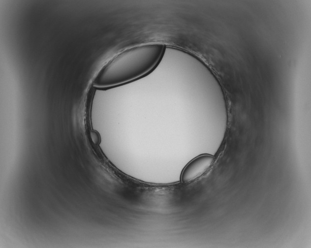 X0000114230056200910161620
