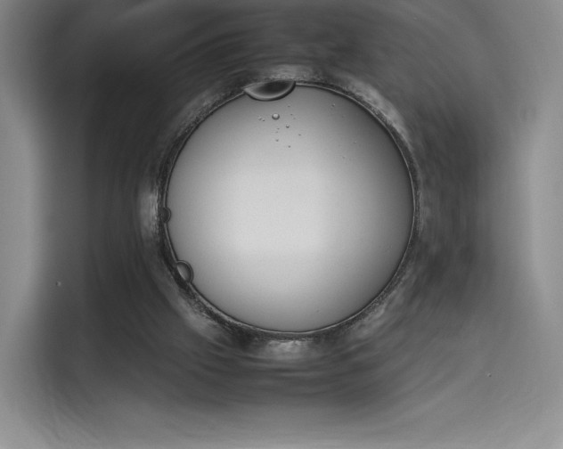 X0000114230057200910161620