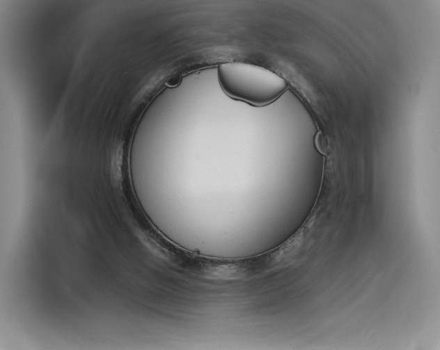 X0000114230058200910161620