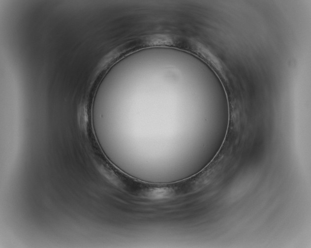 X0000114230059200910161620