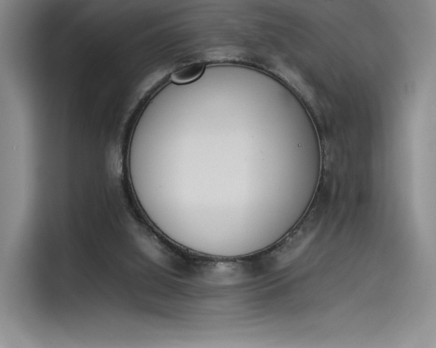 X0000114230060200910161620