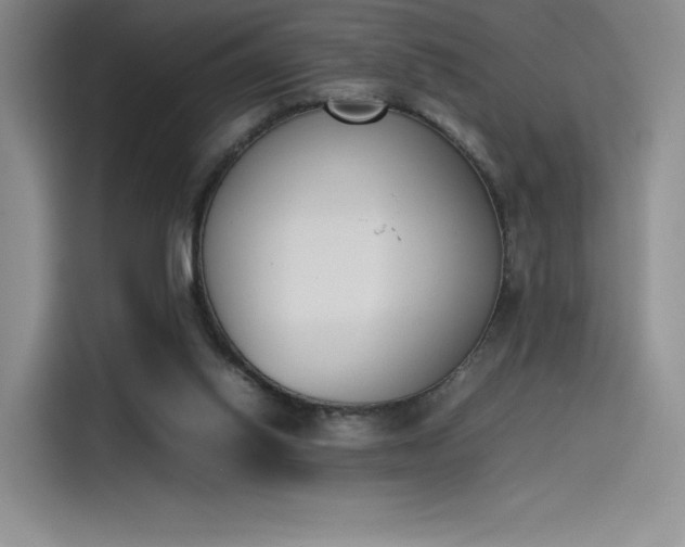 X0000114230062200910161620