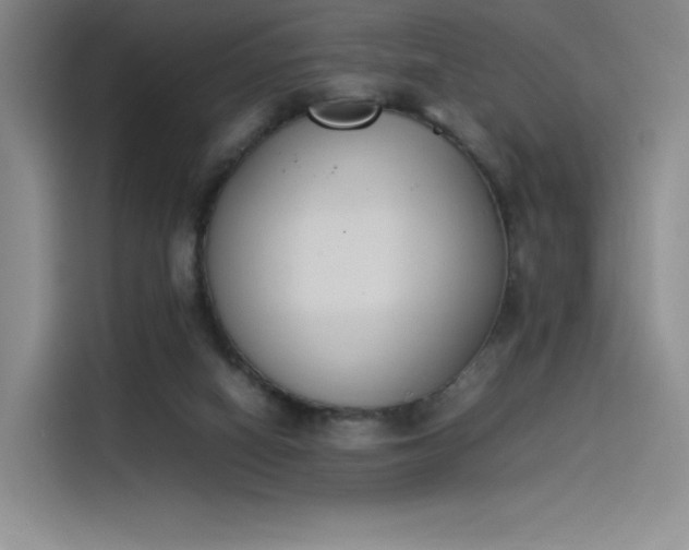 X0000114230066200910161620