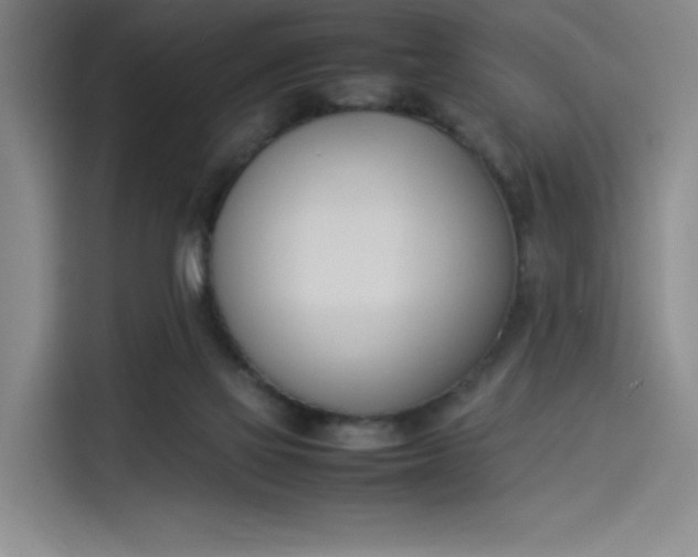 X0000114230069200910161620