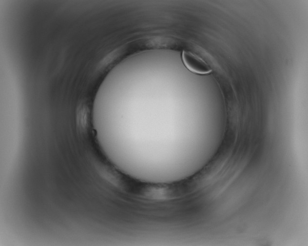 X0000114230071200910161620