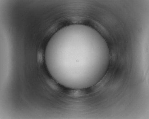 X0000114230074200910161620